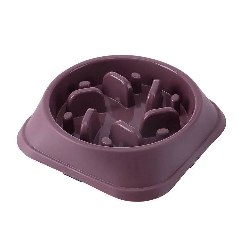 HealthyBite™ Slow Feed Pet Bowl