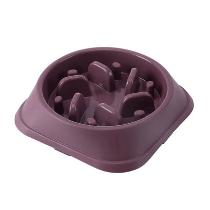 HealthyBite™ Slow Feed Pet Bowl